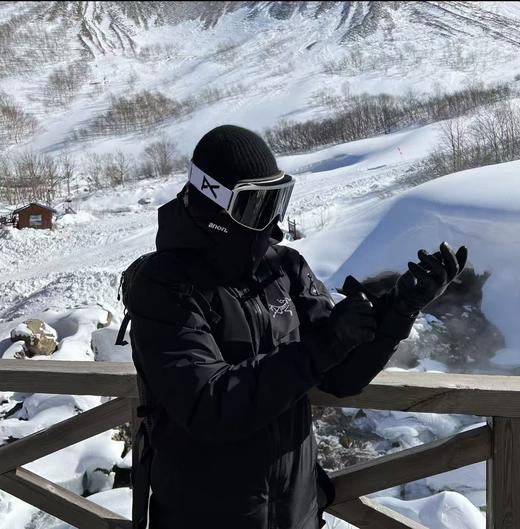 zm31-始祖鸟 Macai大买菜羽绒服(MG) 商品图4