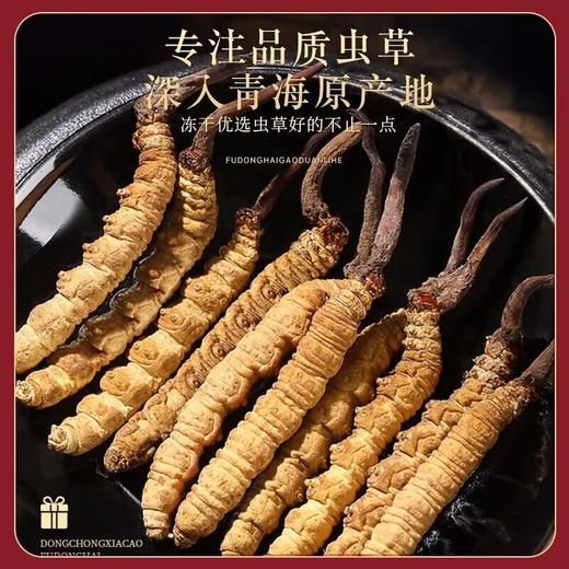 【福东海】 冬虫夏草5克  送礼礼盒装 共20条 商品图2