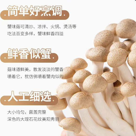 有机菌菇蟹味菇200g生鲜食用菌煲汤炒菜火锅满额包邮 商品图5