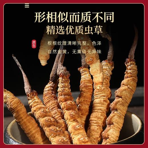 福东海 冬虫夏草10克特级品质整条( 3-4条/g） 商品图6