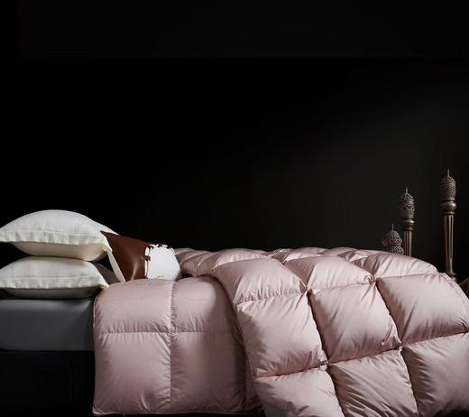 【恐龙厅】B7 丨恐龙悦彩臻品白鹅绒冬被/粉 商品图1