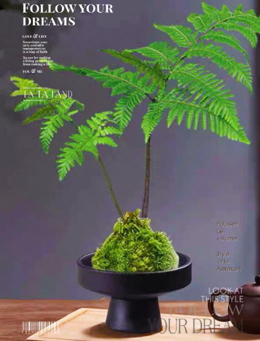 秒杀特价：水仙 苔藓球 佛手柑托盆：19.9（现货 下单即可到店自提） 商品图3