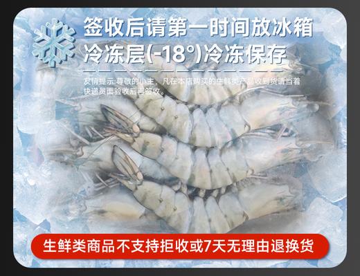 【海朴】进口黑虎虾  活冻海捕黑虎虾1.5KG 商品图7