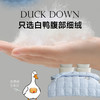 90法国白鸭绒被(海妮娅) 商品缩略图2