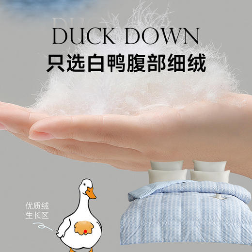 90法国白鸭绒被(海妮娅) 商品图2