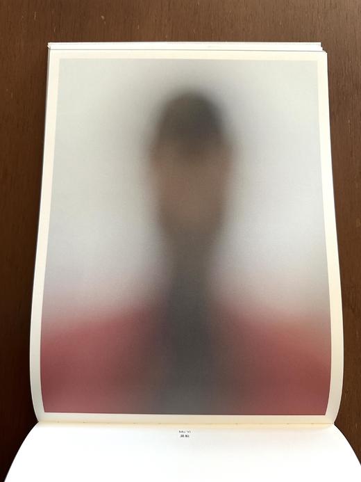 《十八度灰》徐勇最新摄影集 （德国KERBER出版社） 商品图8