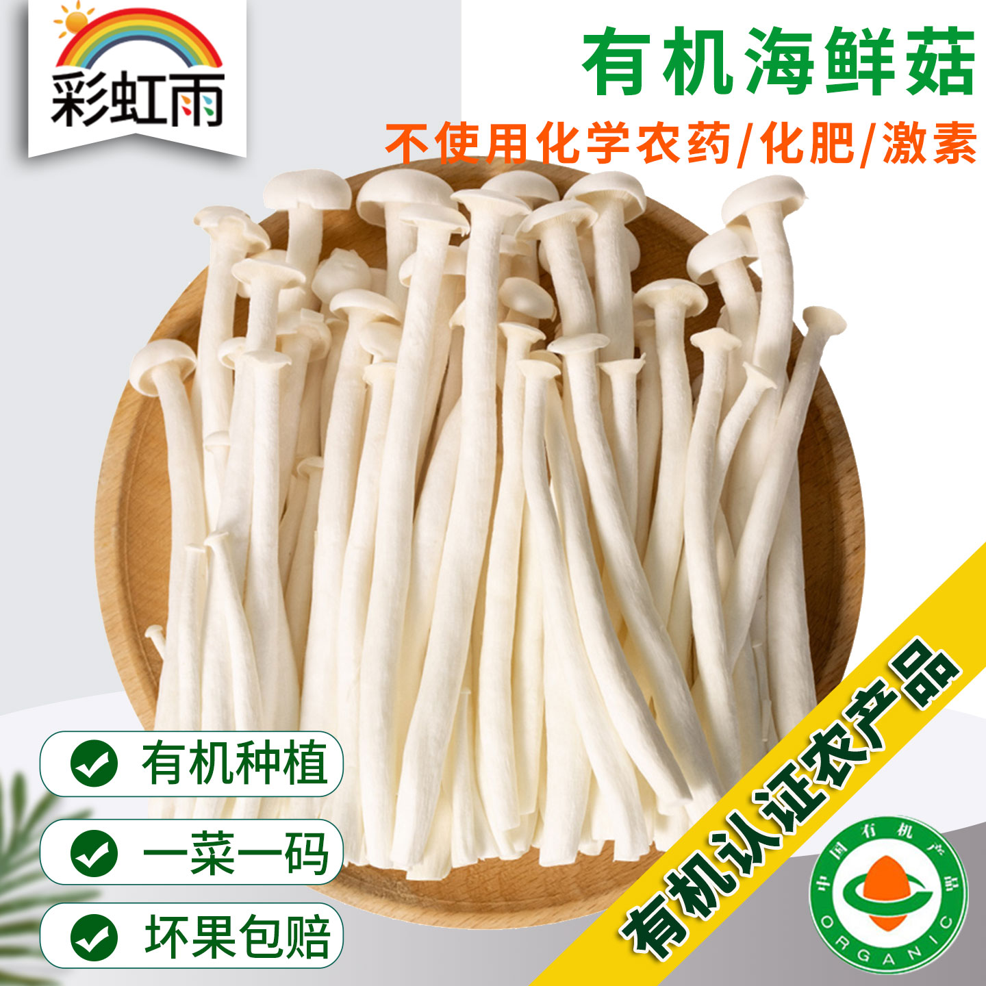 有机海鲜菇200g新鲜蔬菜鲜货菌菇蘑菇炒菜火锅煲汤满额包邮