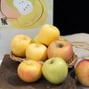 苹果三拼丨水蜜桃苹果+金果+艾妃，一次吃三种口感，三种不同感受，口感酸甜多汁，有香气，家庭装，大小不一，量不多，抓紧入手！ 商品缩略图5