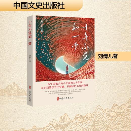 十年不觉如一梦 商品图0