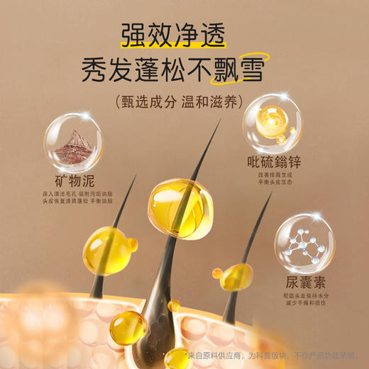 冰芙妮洗发水50g 旅行装控油去屑 商品图5