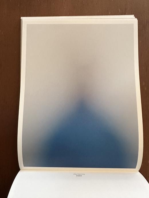 《十八度灰》徐勇最新摄影集 （德国KERBER出版社） 商品图9