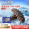【海参半年卡】长轻优选×岛上的 即食海参 520g/袋（9-11头） 鲜美爽口营养丰富 商品缩略图0