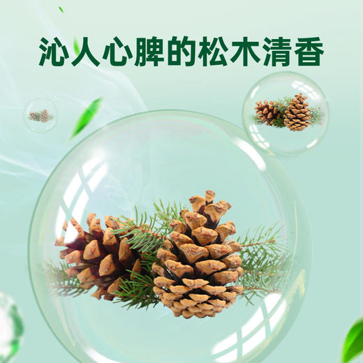 滴露衣物除菌液经典松木3L 商品图4