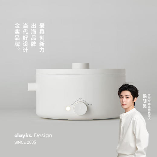 olayks.立时3L多功能电火锅 OLK-01-13 商品图0