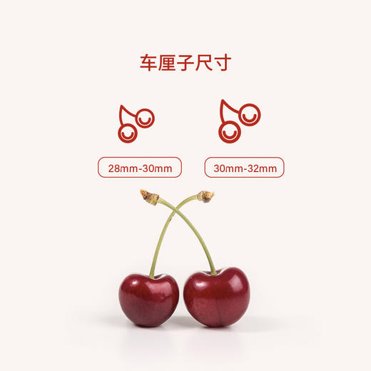 【预售1箱】oravida新西兰进口车厘子礼盒装28mm *1kg 商品图2