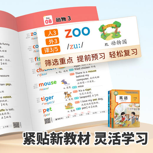 【斗半匠】小学英语单词速记一本通 商品图4