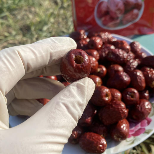 新疆特级红枣，精选品质，去皮去核，免清洗食用更方便 商品图1