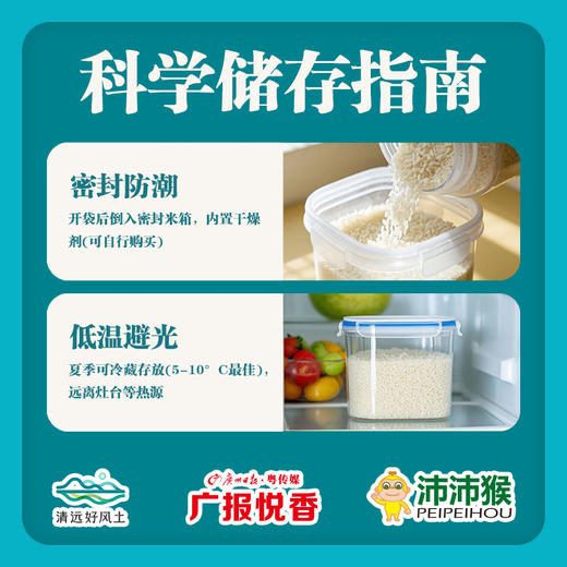【广报智选自营】「广报悦香」清远丝苗米5kg/包 新包装 商品图6