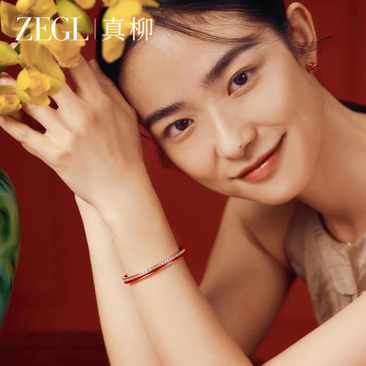 ZEGL小马作本命马年红色满天星手镯女款高级感轻奢镯子首饰送礼物 商品图2