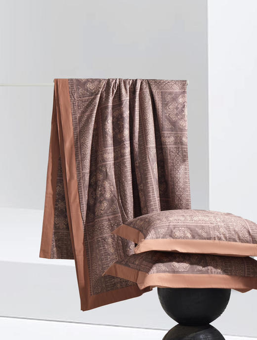 【秒杀价已调 直接拍】意大利奢侈品牌 ETRO 有机棉 高奢长绒磨毛 四件套 2025最新款 商品图2