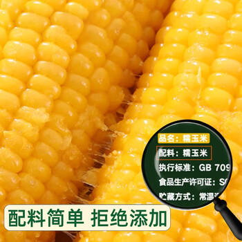 灶小美【内蒙古产地】黄糯八厘米玉米段12袋≥4斤粗粮 源头直发包邮 /粮油调味 /杂粮 /谷米类 商品图2