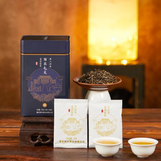 西农毛尖·尊师 商品图1