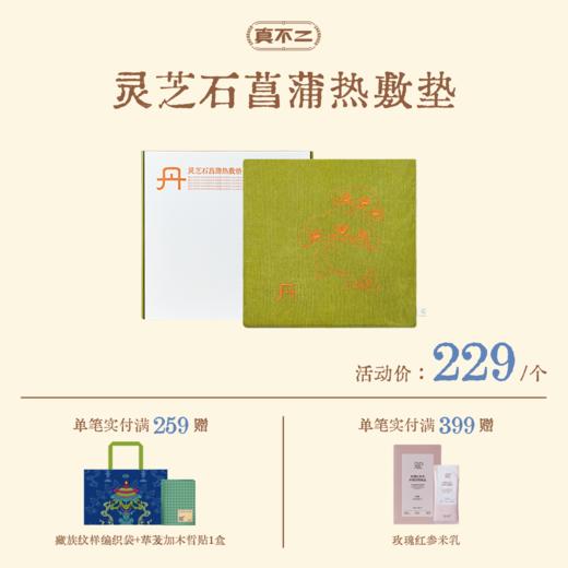 【真不二】新品灵芝石菖蒲热敷垫艾灸坐垫加热 商品图0