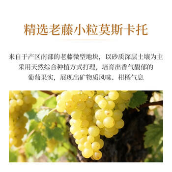 圣芝（suamgy）G720莫斯卡托干白葡萄酒 750ml 原瓶进口 商品图6