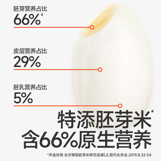 【零食】婴幼儿胚芽手指泡芙（原味/香蕉味）30g 商品图2