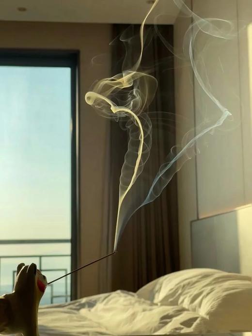 高端小众品牌【叠石旅行者系列天然线香】三款香型 · 全日香气疗愈旅程WD 商品图2