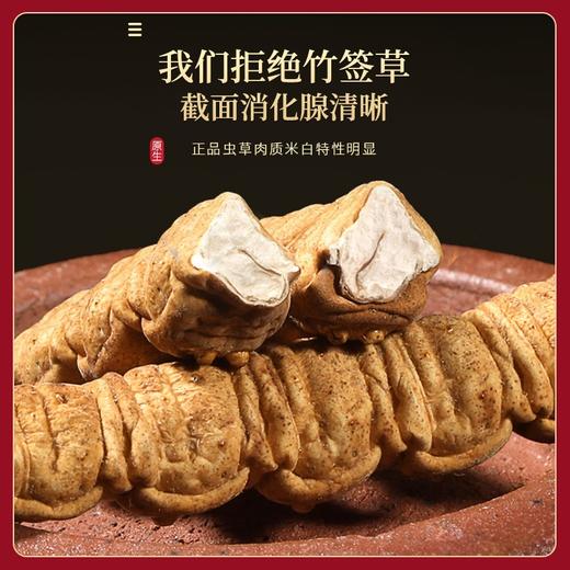 福东海 冬虫夏草10克特级品质整条( 3-4条/g） 商品图5