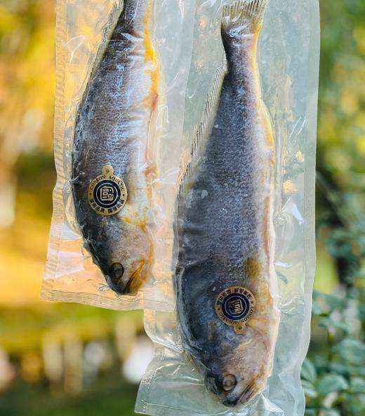 【国信1号养殖航母】大国重器国信一号深海野游三去大黄鱼，野生的品质，养殖的价格，超高性价比，低温洁净水域，高盐慢生长，大黄鱼中的健身达人，成就不一样的品质~ 商品图11