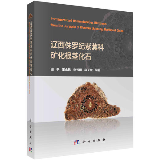 辽西侏罗纪紫萁科矿化根茎化石 商品图0