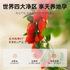 杞里香红枸杞子头茬有机认证特优级大果枸杞250g*2瓶 白色圆罐有机枸杞280粒无硫新货青海免洗苟杞 商品缩略图2