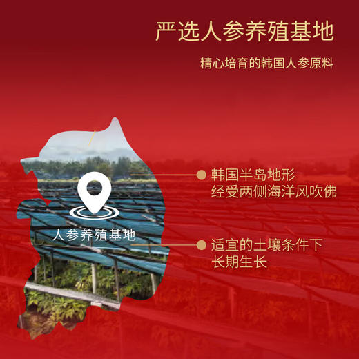 正官庄人参原装进口EVERYTIME红参浆300g 商品图2