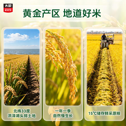 太粮米博士低GI大米 软糯型 商品图5