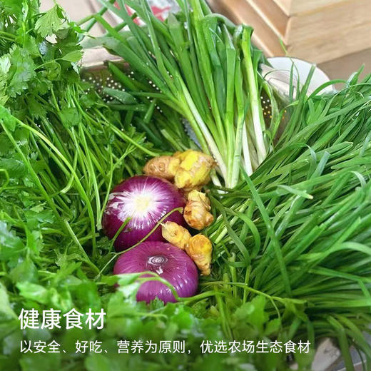 【现做现发，4天内发货】【满3盒起送】生态厨房有手工水饺，面皮顺滑、劲道，馅料鲜香本味，0添加自然调味，匠心手工包制，只为安全、好吃和营养，20克x15个/盒【生鲜发出不拒收不退回】 商品图4