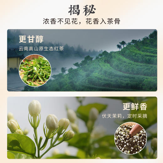 凤牌红茶茶叶正宗云南经典茉莉特级工夫红茶100g罐装 商品图2