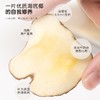 【福东海】海底椰100克/瓶 商品缩略图2