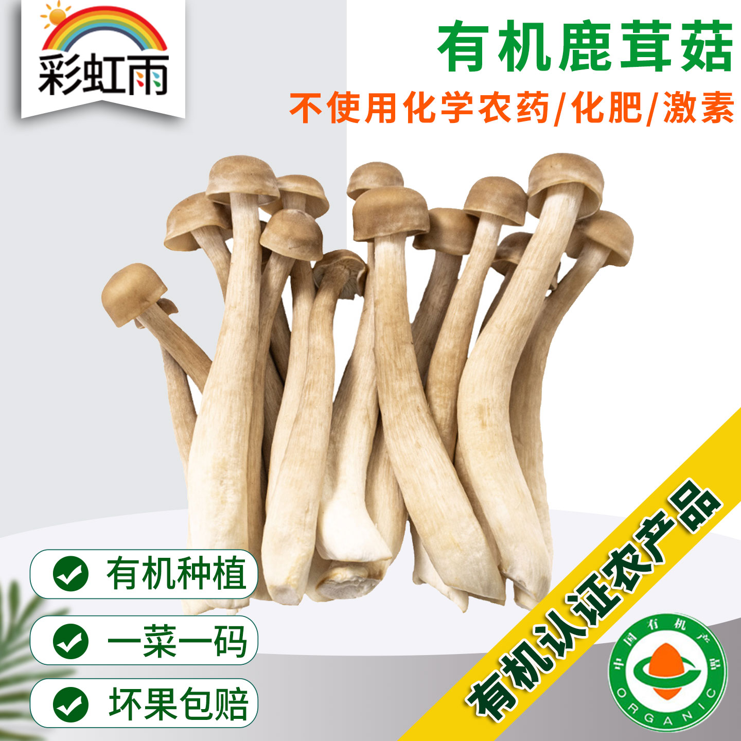 有机鹿茸菇120g新鲜脆菇鲜货菌菇炒菜煲汤脆嫩满额包邮