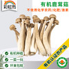 有机鹿茸菇120g新鲜脆菇鲜货菌菇炒菜煲汤脆嫩满额包邮 商品缩略图0
