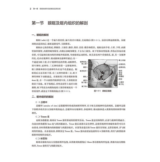 临床斜视学 胡聪 杨先 主编 本书适合各级眼科医师 尤其斜视专科医师阅读 参考书 西医 眼科学 9787117377072 人民卫生出版社 商品图4