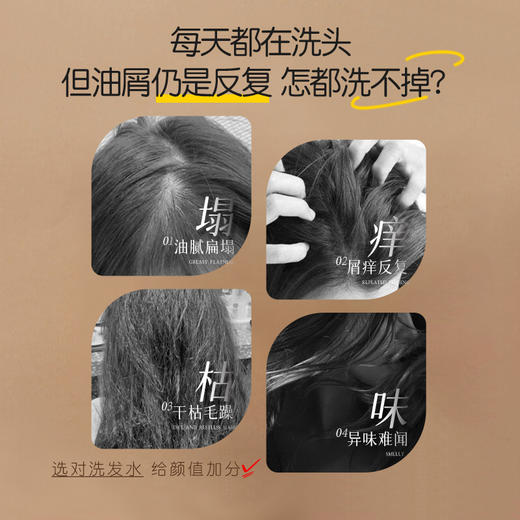 冰芙妮洗发水50g 旅行装控油去屑 商品图3