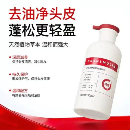 【吉娜推荐 】  克兰慕林柔顺控油洗发乳 生姜侧柏叶膏露去头油去头屑咖啡因精华固发 深层清洁 3天不洗都不油！ 商品图3