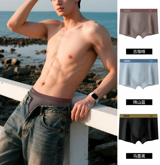 男士莫代尔明筋时尚平角内裤简约全年龄可穿6015 商品图1