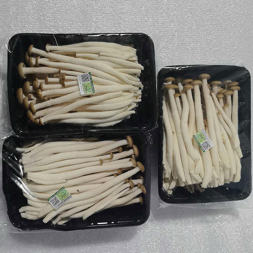 有机菌菇蟹味菇200g生鲜食用菌煲汤炒菜火锅满额包邮 商品图6