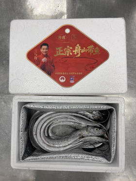 优选丨（舟选®）舟山鲜冻雷达网盘带鱼  精品带鱼肉质鲜嫩