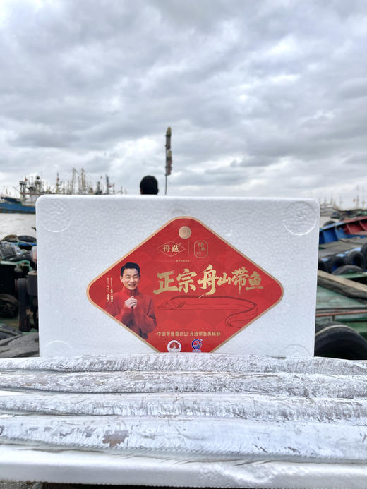 优选丨（舟选®）舟山鲜冻雷达网盘带鱼  精品带鱼肉质鲜嫩 商品图1