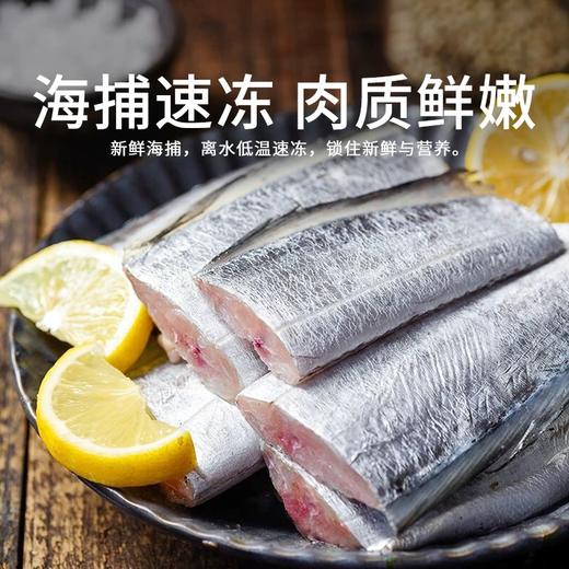 优选丨（舟选®）舟山精品带鱼段 舟山产地顺丰/京东直发 丰富蛋白质 商品图2