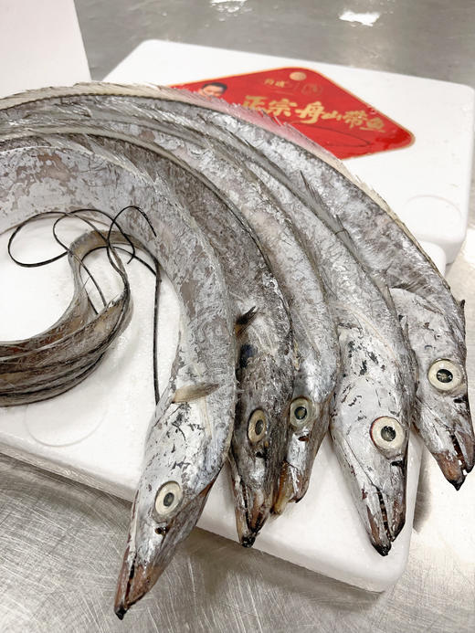 优选丨（舟选®）舟山鲜冻雷达网盘带鱼  精品带鱼肉质鲜嫩 商品图5